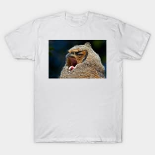 Great Horned Owlet T-Shirt